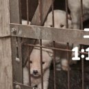 토닥토닥동물병원 이미지