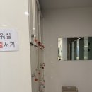 숲플라잉요가 | 관평동요가 ‘요가숲’ 플라잉 요가 후기