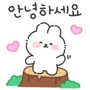 대정메디칼 이미지