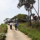 주생면 유매마을 이미지