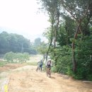 숨은진주 이미지