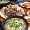 청춘 요가 이미지