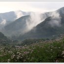 옥정호구절초테마공원 이미지