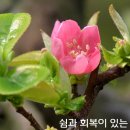 노아의창 - 포항시 북구 선착로 61 | 노아의창
