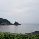 지니비치향 이미지