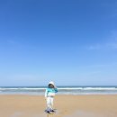 충남자동차부분정비업 | 충남 일주일살기 지원금 받고 아이랑 태안 일주일살기 완료! 국내 한달살기 비용