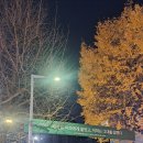 조교 | 이화여대 수시논술조교 후기