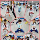 용인대래미안태권도장 이미지