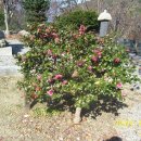 화백경로당 이미지