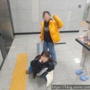 그림아트스튜디오미술교습소 - 창원시 성산구 가음정로43번길 1 | 그림아트스튜디오미술교습소