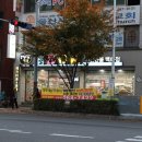 BOB애견용품