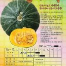 그린종묘농약사 이미지