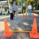 동물치유쉼터 이미지