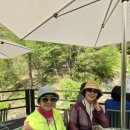 소양강가든 이미지