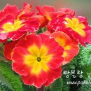 오늘의유리