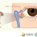 더참안과의원 이미지