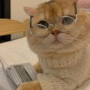 브리즘 평촌점 이미지