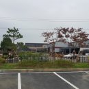 수목산업