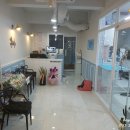 호야네애견샵 이미지