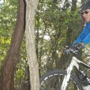 동네한바퀴 이미지