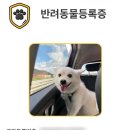 반려동물 테마공원 화장실 | 포항 무료 반려동물 테마공원 반려견 소형, 중형, 대형 가능한 운동장 &#39;펫필드&#39;