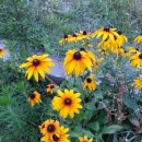 주니스어린이집 이미지