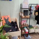 콩지네 부엌 이미지