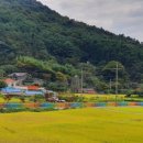 무지갯빛 이미지