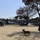 신촌로 110 웨스턴동물의료센터 신촌역 5번출구 | 슬픈 날도 기록해야지, 쿵이 병원 방문하고 눈물 쏟은 날 🥲 (신촌 웨스턴 동물 의료센터)