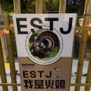 스튜디오 마법사 | 6-2. 중국_선전 🇨🇳