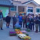 꽃향기가득한 이미지