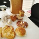 화니오기 펫살롱 이미지