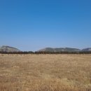 애월다래네 이미지