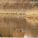 서호공원 이미지