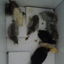 비당농장 이미지