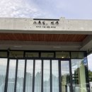 그루밍제주 | 서귀포 애견미용 그루밍제주 비숑미용 스포팅 후기