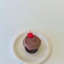 컵앤케이크