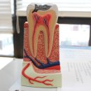 이안치과병원 이미지