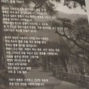 이비가짬뽕거제사곡점 네이버블로그