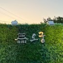 기성계곡 이미지