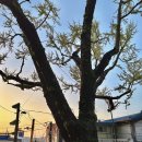 산장경로당 | [서울/강서구] 은평구 북한산 아래 고즈넉한 한옥 카페_깅꼬서울