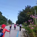 원통생활체육공원 체육관 이미지