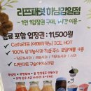 미니스톱 뉴하남중앙점 | [하남] 아이와 가볼만한 곳 추천, 앵무새 교감 카페 리프패럿 방문기 (주차, 운영시간, 이용요금)