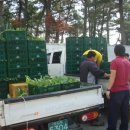 비금면사무소 이미지