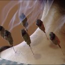 은천동-5 이미지