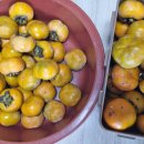 소박한 민박 이미지