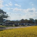 진평왕릉 화장실 이미지