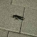 꿈나라공원 내 이미지