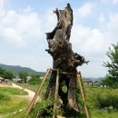 제천휴게소 이미지