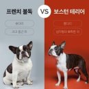 몽몽이 미용실 이미지